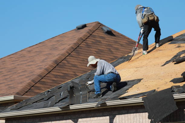 Best Metal Roofing Installation  in White Knoll, SC