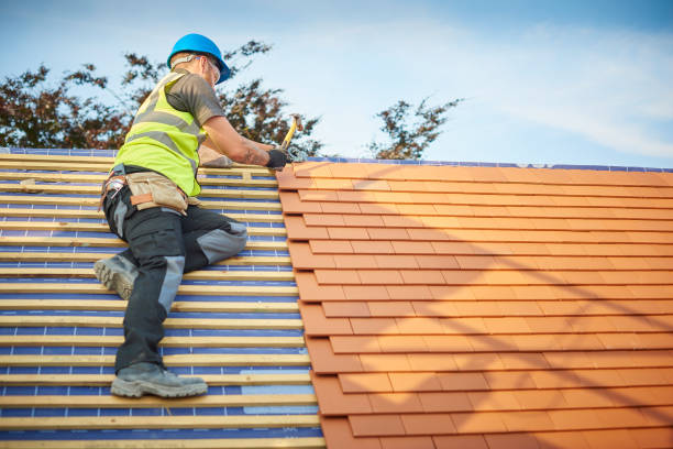 Waterproofing in White Knoll, SC