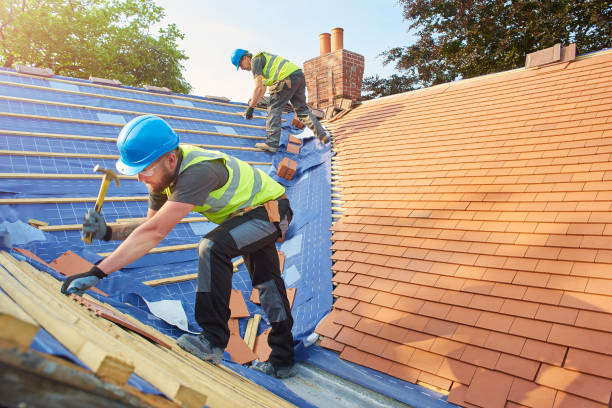 Best Chimney Flashing Repair  in White Knoll, SC